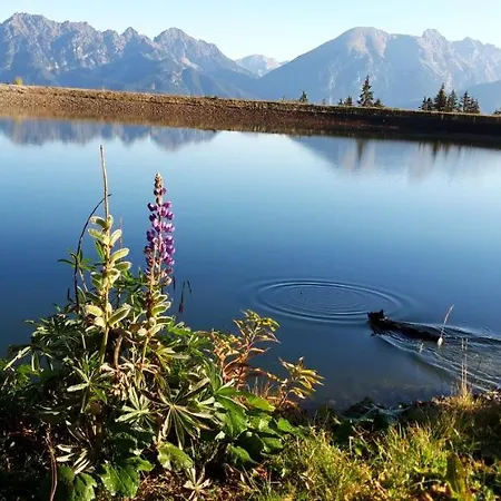 Lacknerhof Apartment *