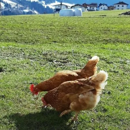 Lacknerhof Apartment *