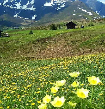 Apartamento Lacknerhof