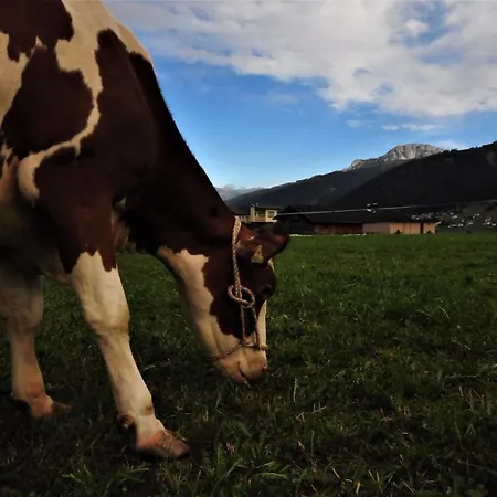 Appartamento Lacknerhof