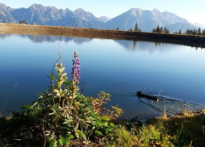 Lacknerhof Appartement *