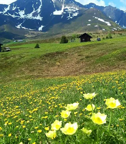 Apartamento Lacknerhof
