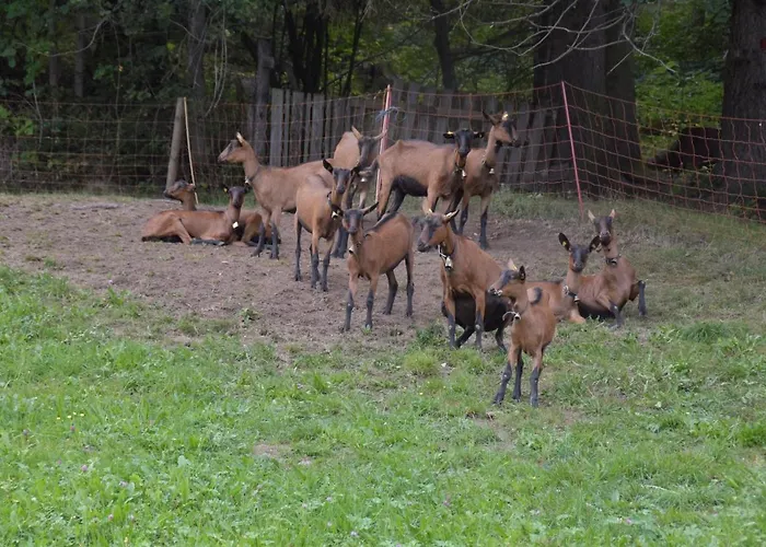 Apartamento Lacknerhof *