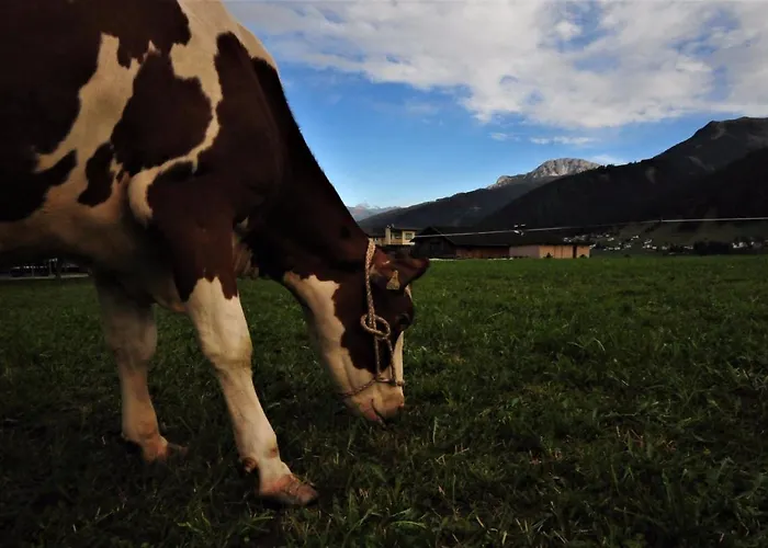 Apartamento Lacknerhof